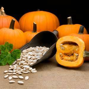 pumpkin seed in prostatitis